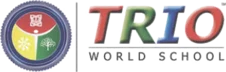 TRIO World School